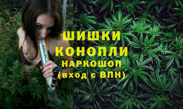 apvp Надым