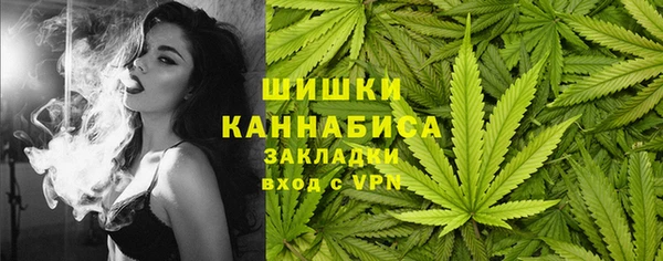 apvp Надым