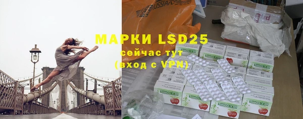 apvp Надым